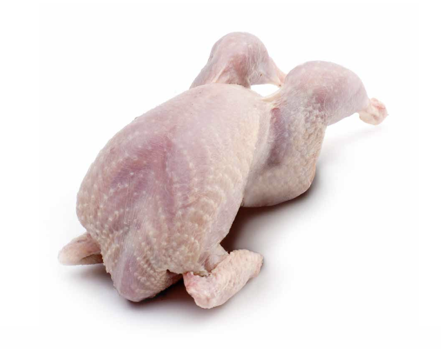 Partridge